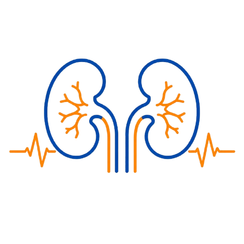 Kidney