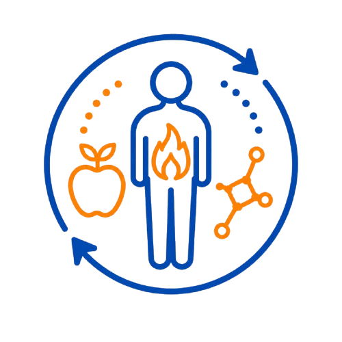 Metabolic icon